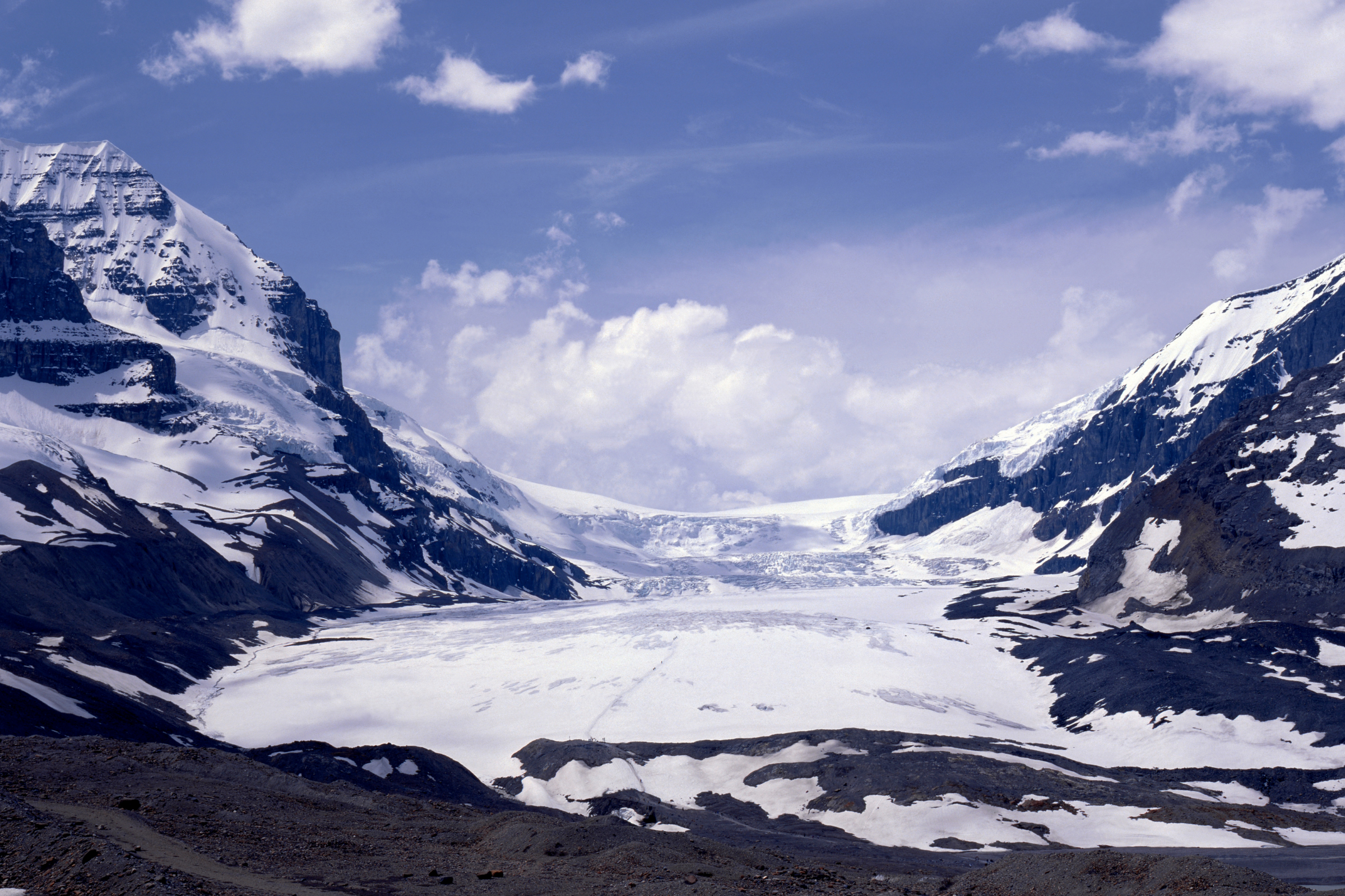 athabasca glacier, alberta.webp